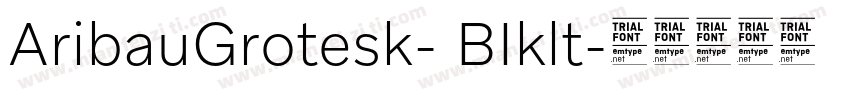 AribauGrotesk- BIklt字体转换